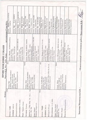 Scan0002.jpg
