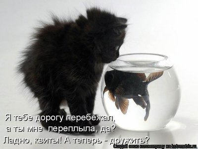 квиты.jpg