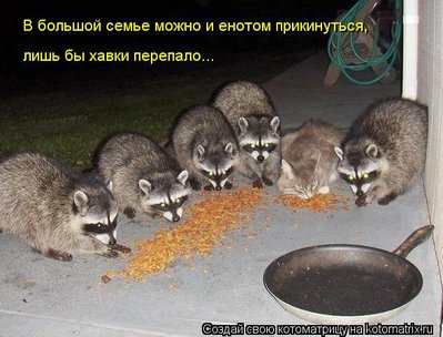 1150475.jpg