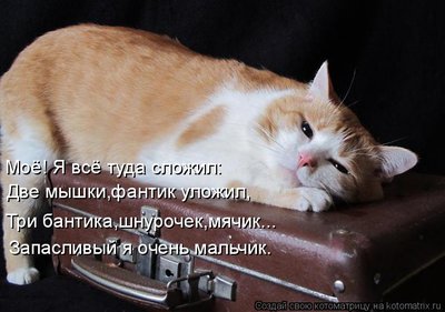 запас.jpg