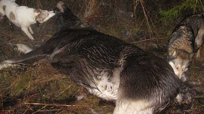 IMG_0392.JPG