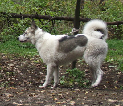 DSCF3080.JPG