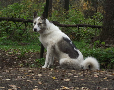 DSCF3081.JPG