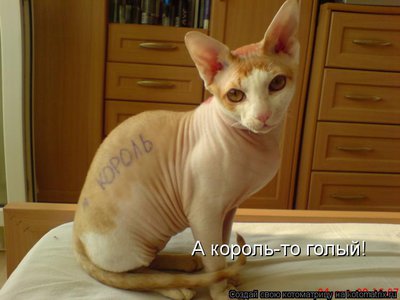 король.jpg