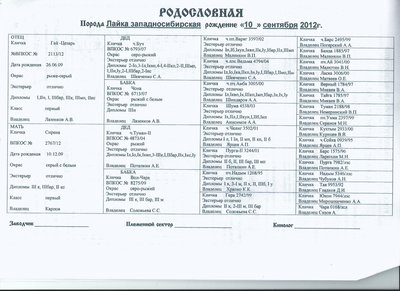 Scan0021.jpg