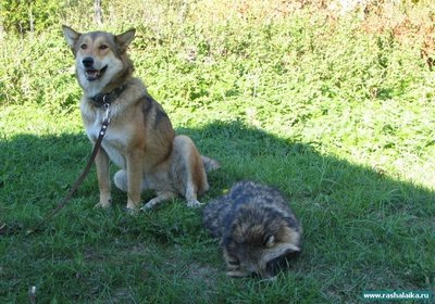 1000_e604bff401.jpg