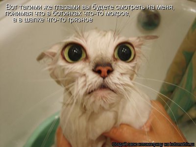 поним.jpg