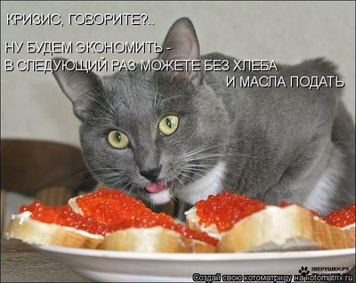 хлеб.jpg