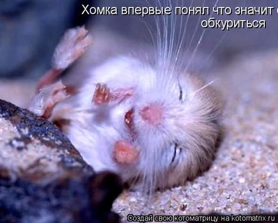 кумар.jpg