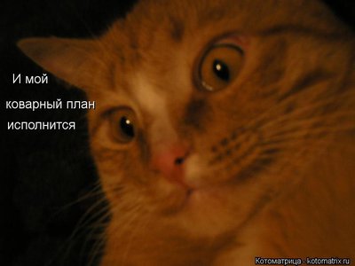 план.jpg