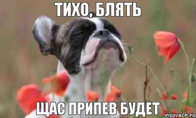 8_uv3JZCUeY.jpg