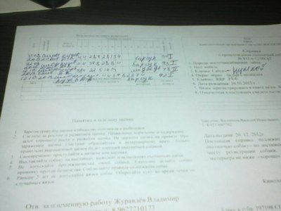 22112013_3.jpg