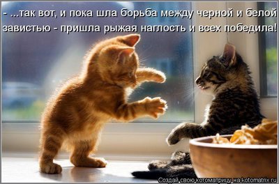 борьба.jpg