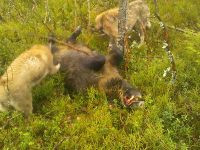 IMG00047.jpg