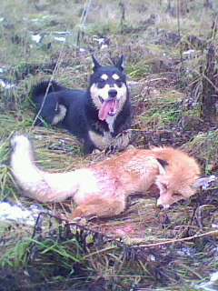IMG0117A.jpg