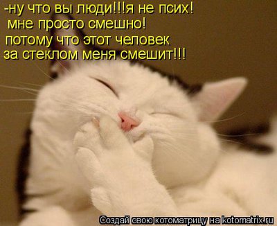 смех.jpg