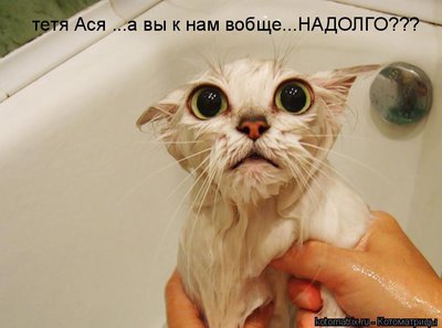 тётя.jpg