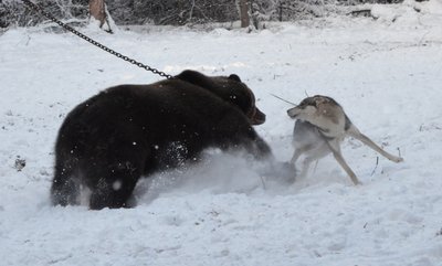 DSC_0320.jpg