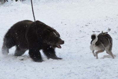DSC_0316.jpg