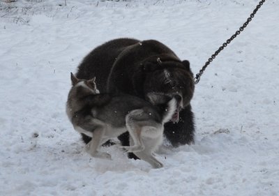 DSC_0306.jpg