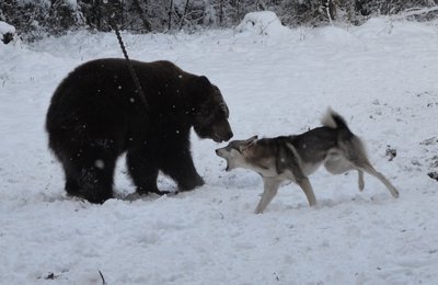 DSC_0292.jpg