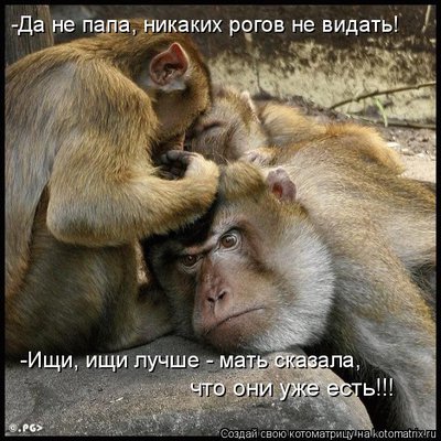 р3.jpg