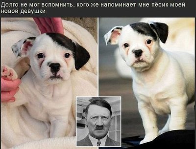 гитлер.jpeg