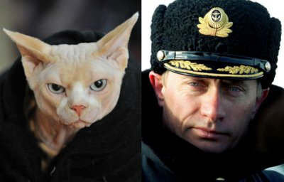 п1.jpg