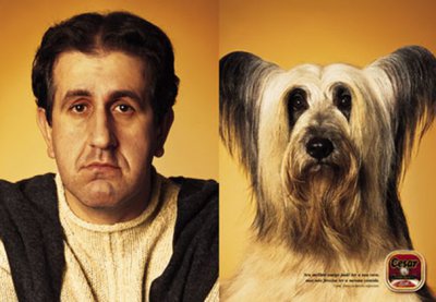 525233dogs_3.jpg