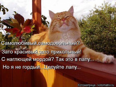 kotomatritsa_X2.jpg
