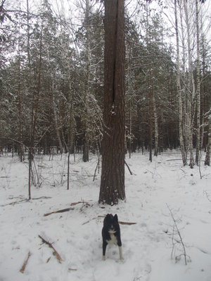 DSCN8141.JPG