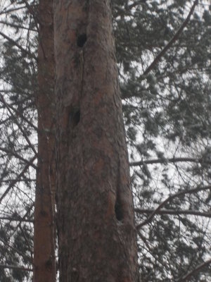 DSCN8143.JPG