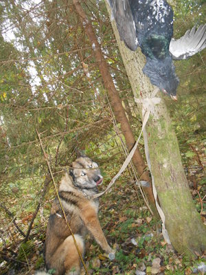 DSCN0035.JPG