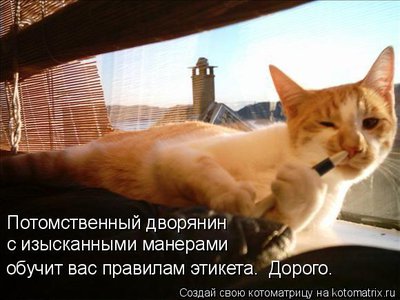двор.jpg