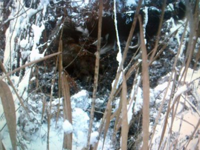 20122013.jpg