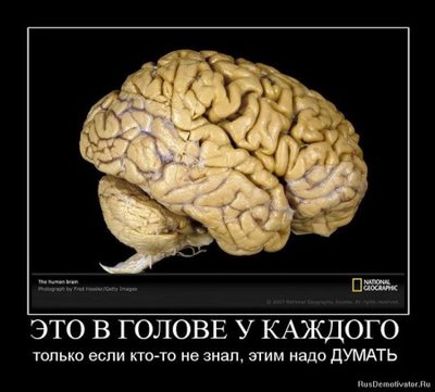 1272100810_1271586824_662886_etovgoloveukazhdogo.jpg