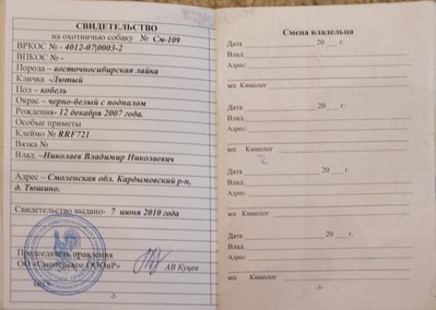 DSCF3894 (1) мп.jpg