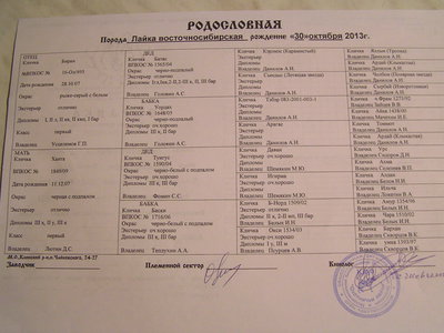 PC231274.JPG