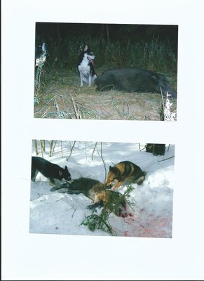 Scan0052.jpg