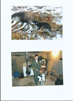 Scan0051.jpg