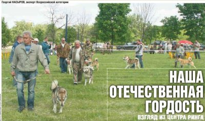 Из статьи Насырова.jpg