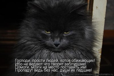души.jpg