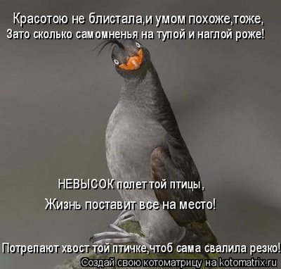 птиц.jpg