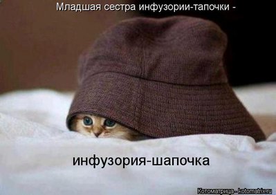 инф.jpg
