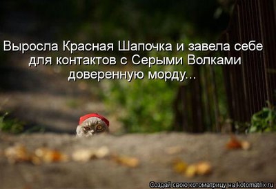 морда.jpg