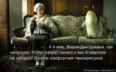 хол2.jpg