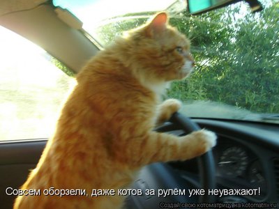 за рул.jpg