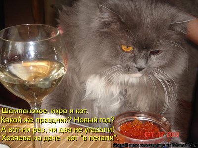 икра.jpg