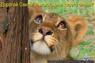 ол.jpg