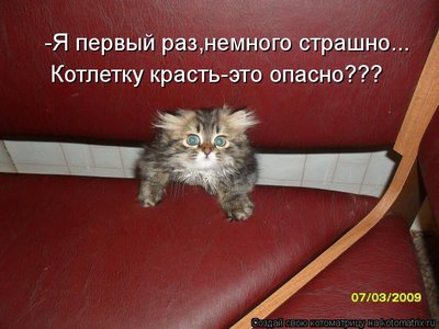 котлета.jpg